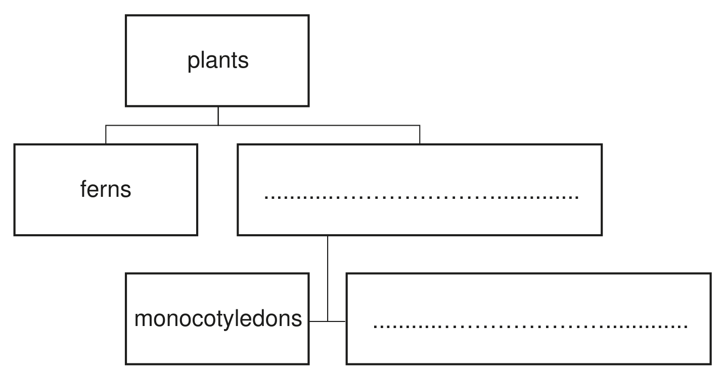 Fig. 3.1