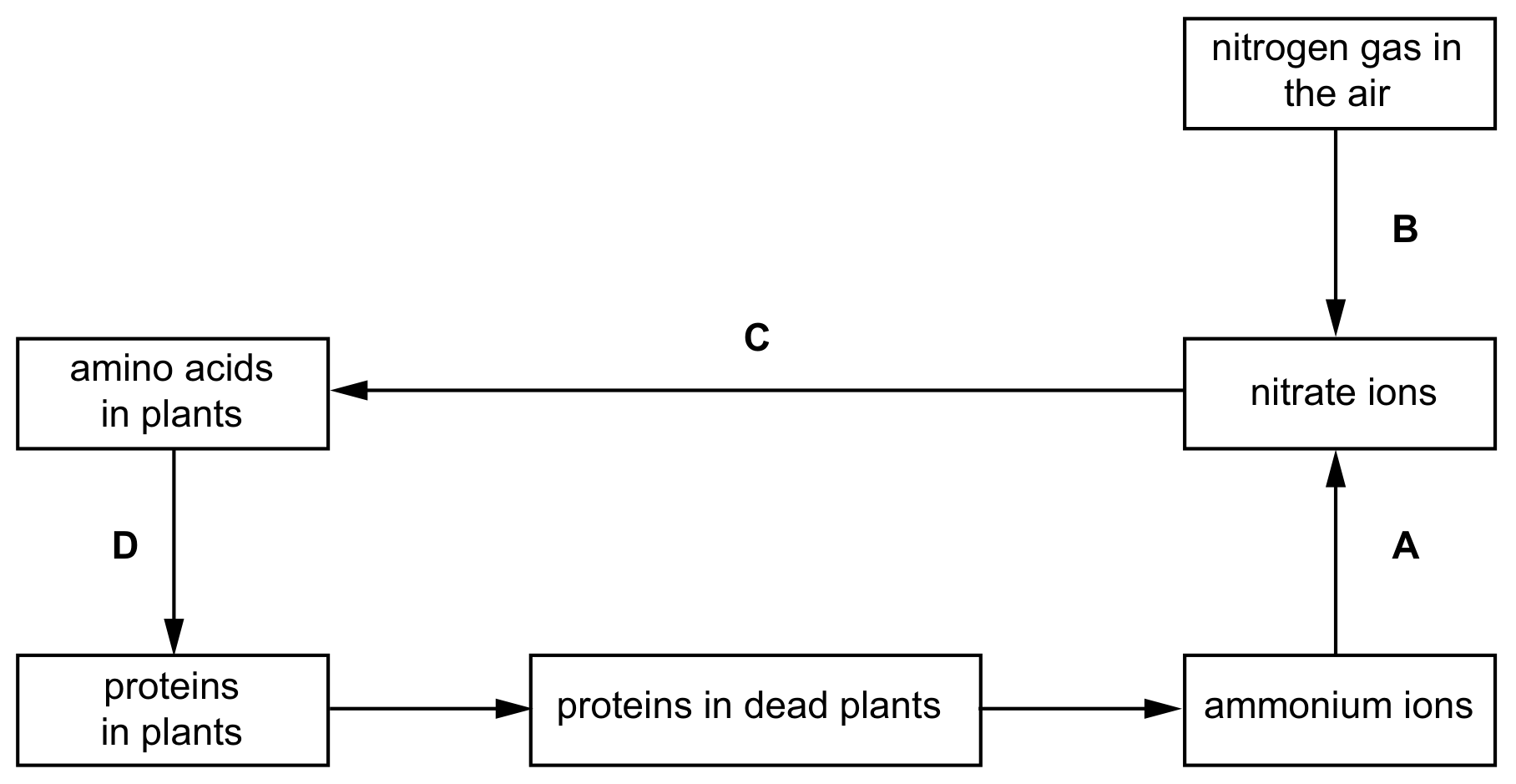 Fig. 6.2 shows part of the nitrogen cycle.