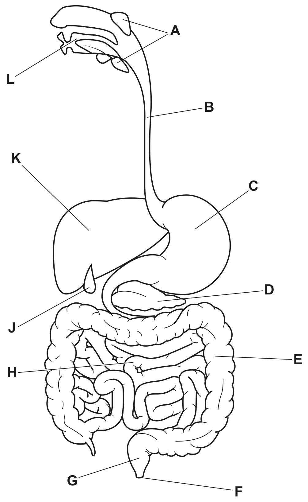 Fig. 1.1