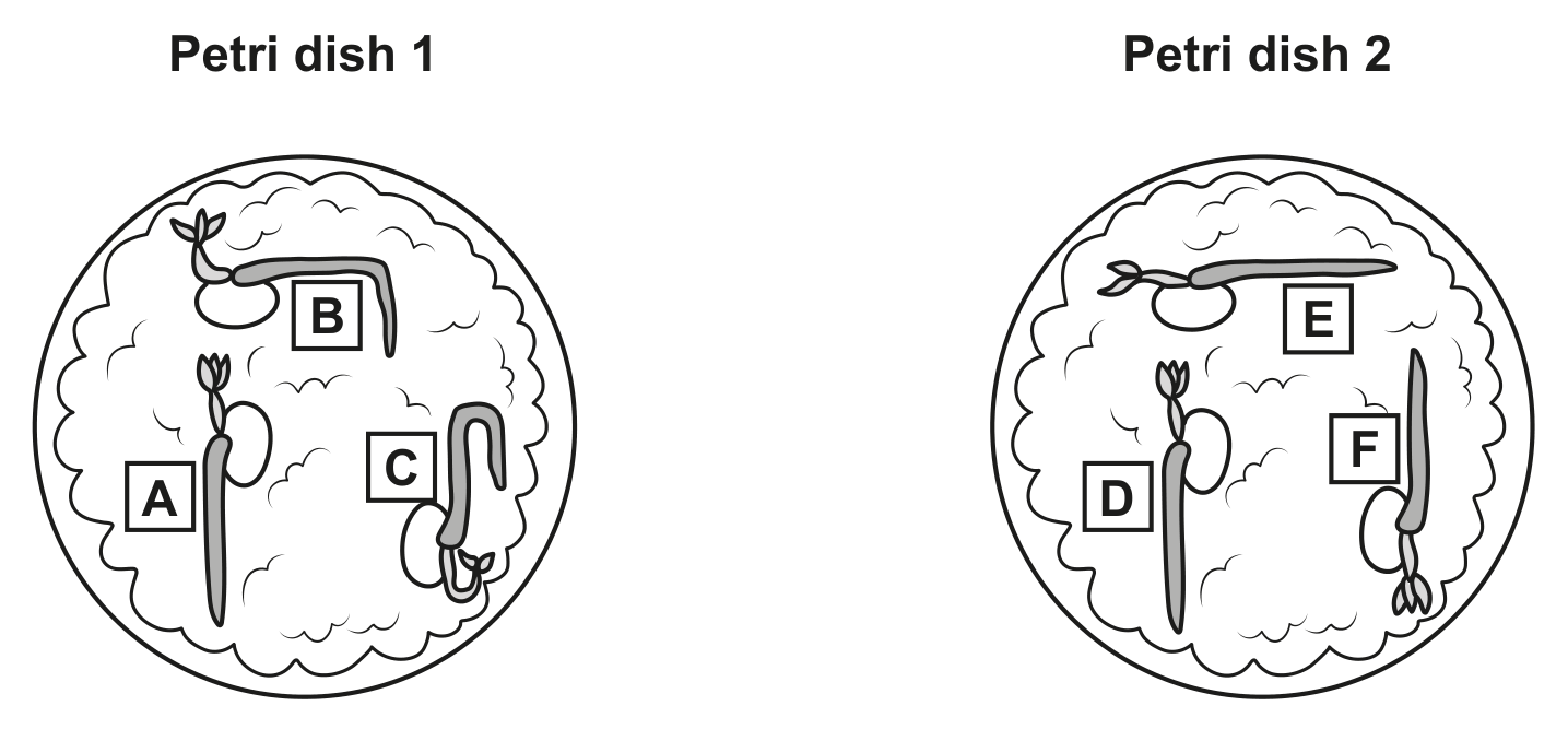 Fig. 6.2