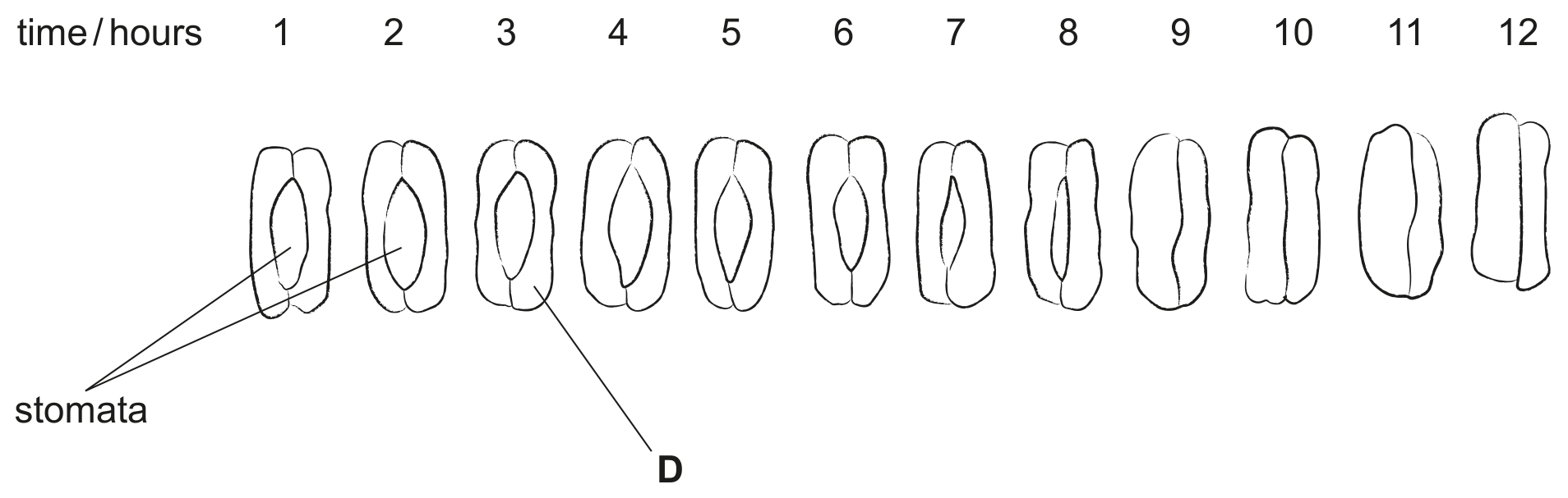 Fig. 1.2