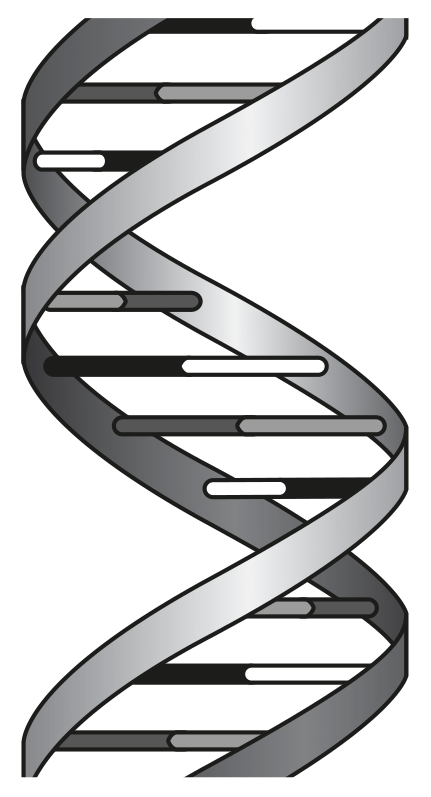 Fig. 2.1