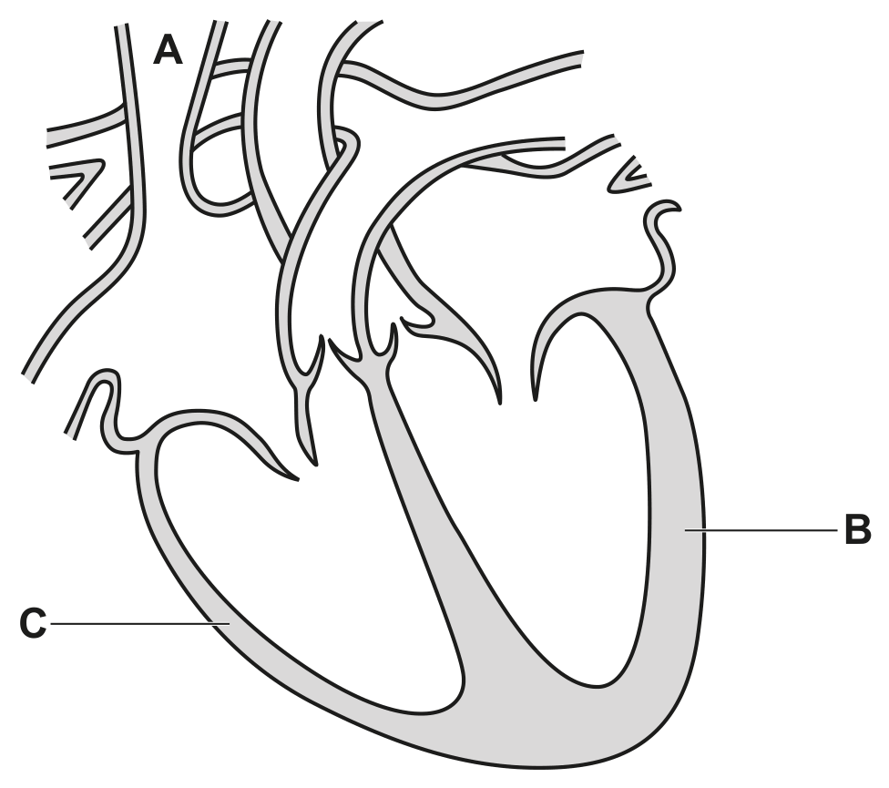 Fig. 3.1