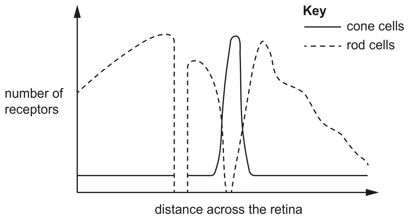 Fig. 3.3