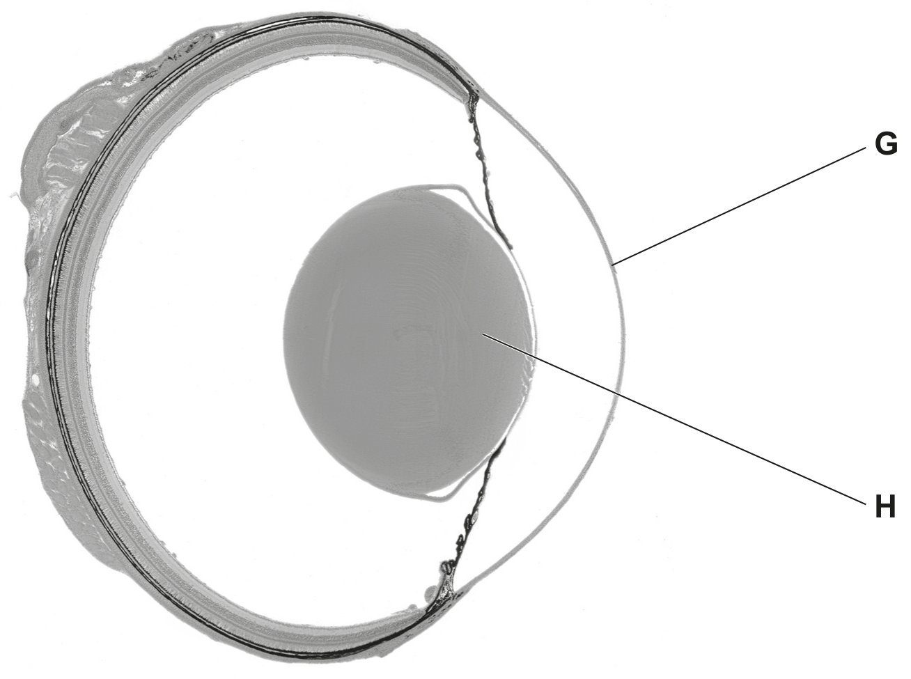 Fig. 3.1