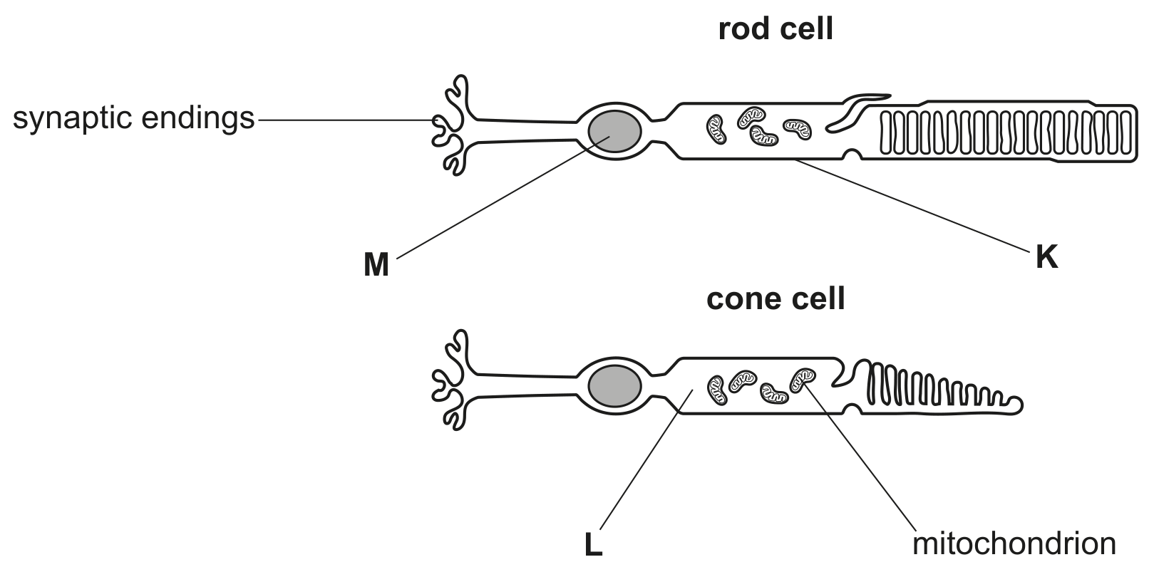Fig. 3.2