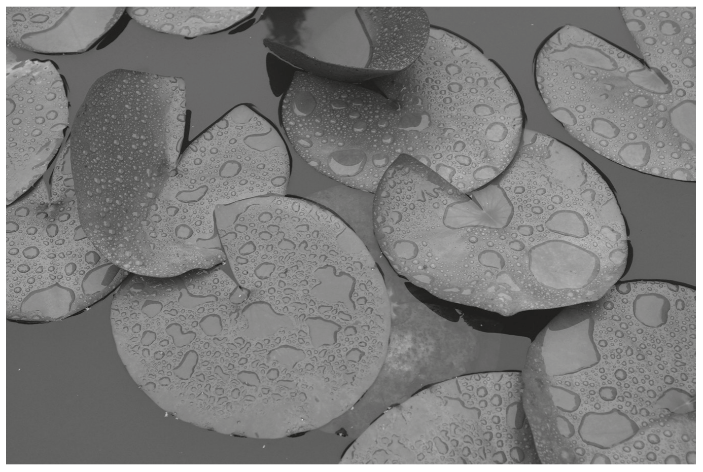 Fig. 2.1