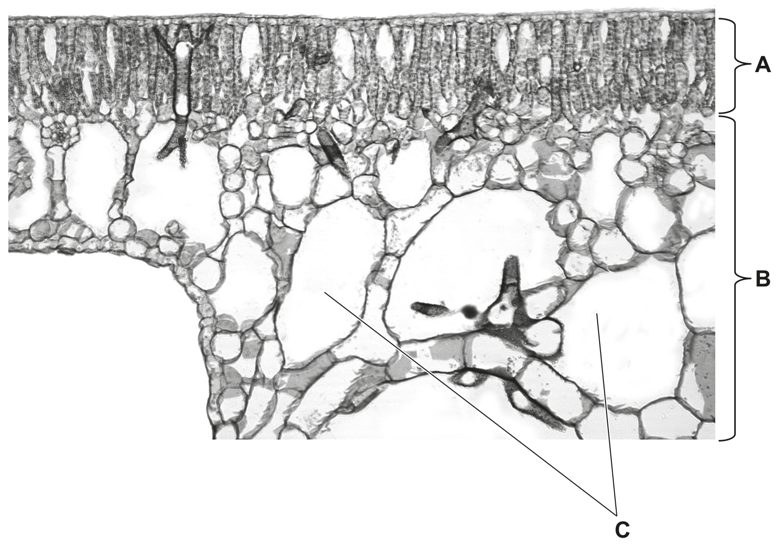 Fig. 2.2