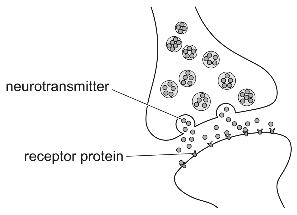 Fig. 3.1