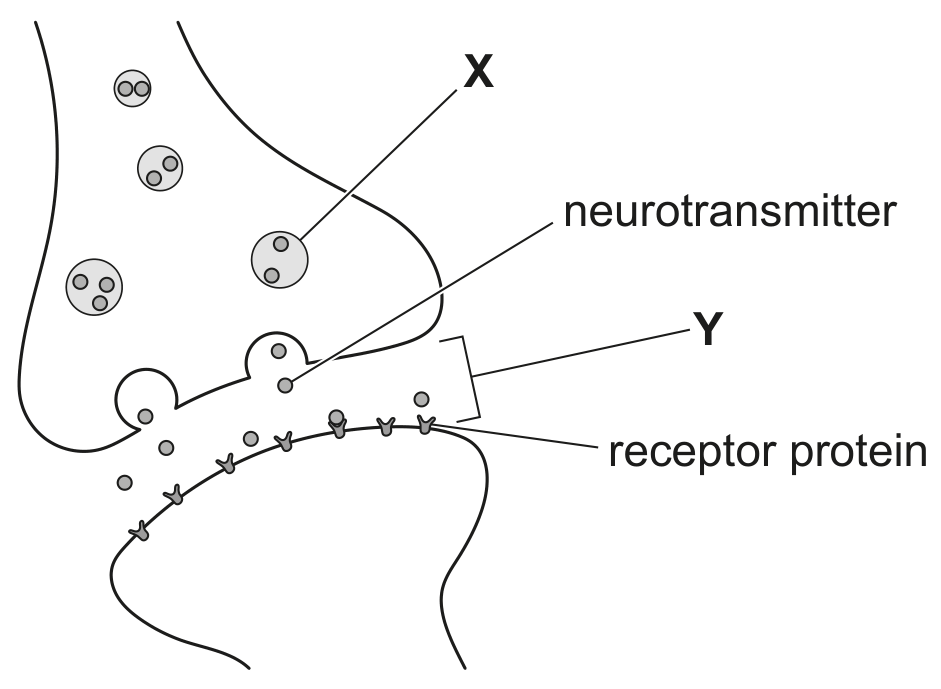 Fig. 3.2