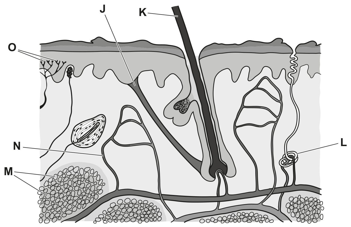 Fig. 4.1
