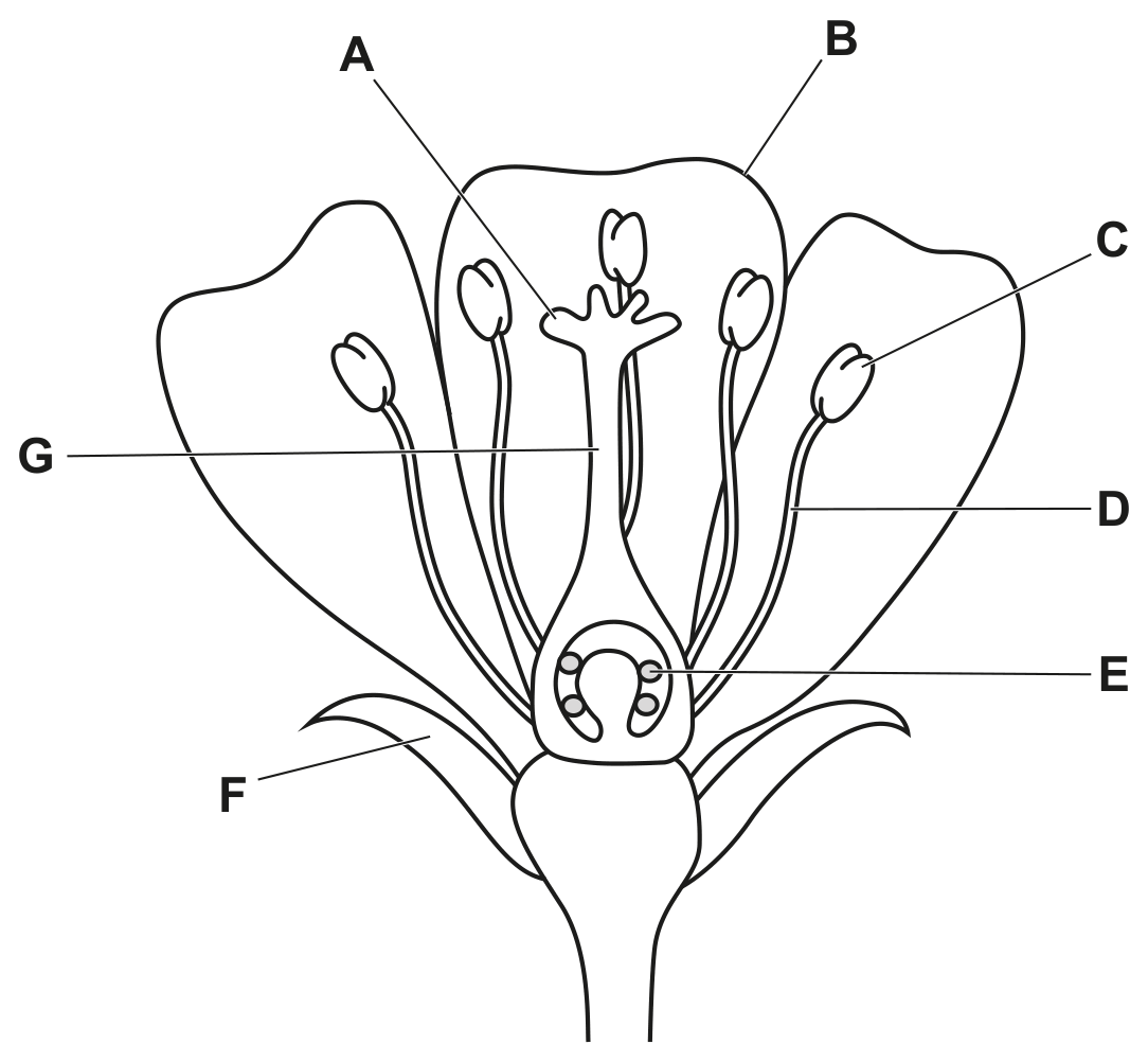 Fig. 1.1