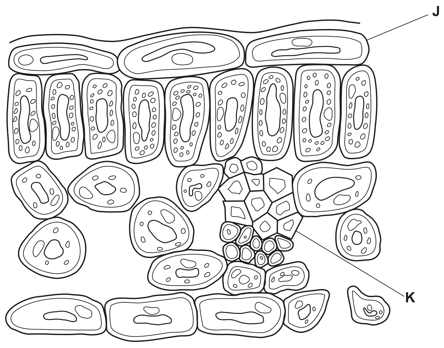 Fig. 2.1