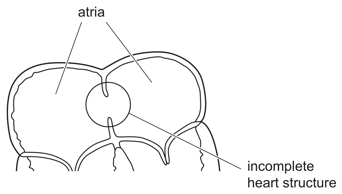 Fig. 2.2