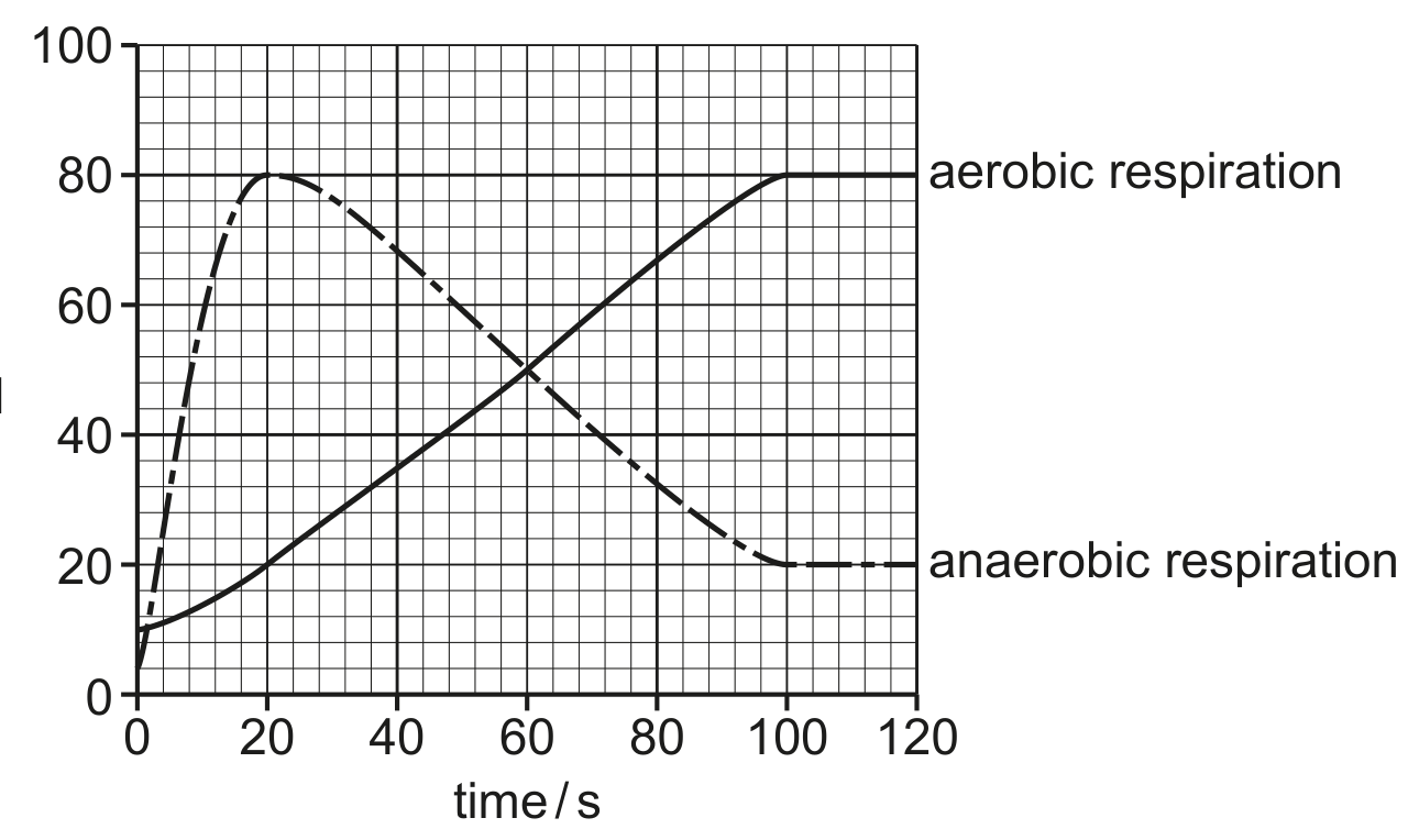Fig. 2.3
