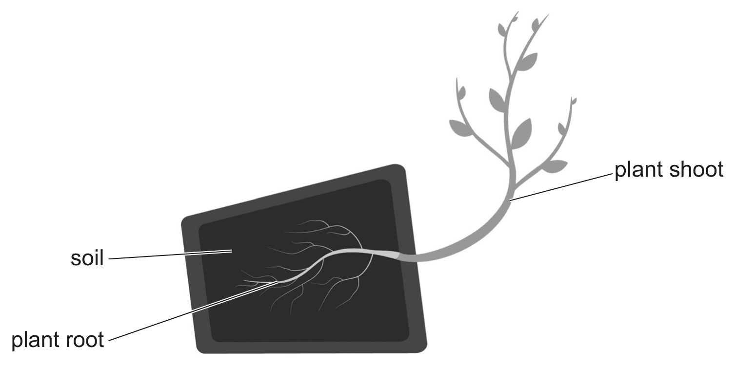 Fig. 3.1