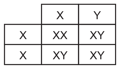 D

parent 1