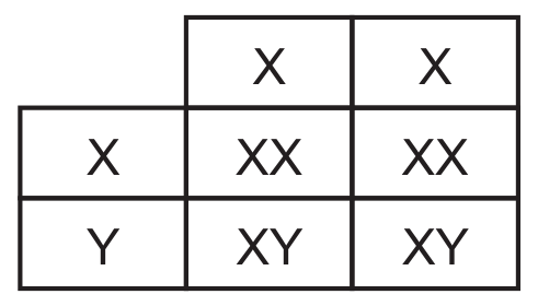 B