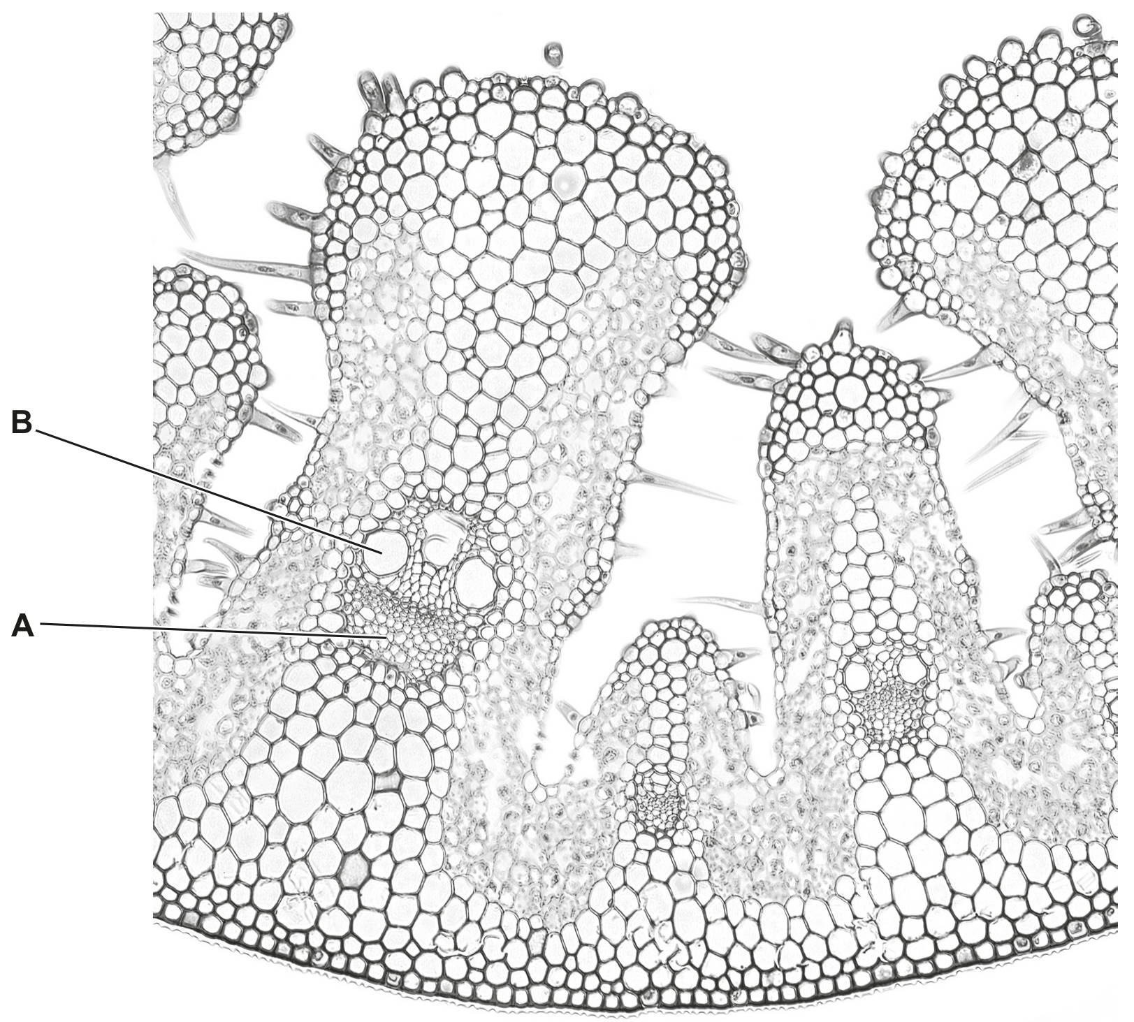 Fig. 3.3