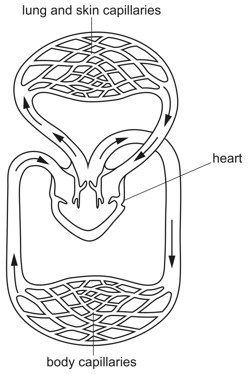 Fig. 1.4