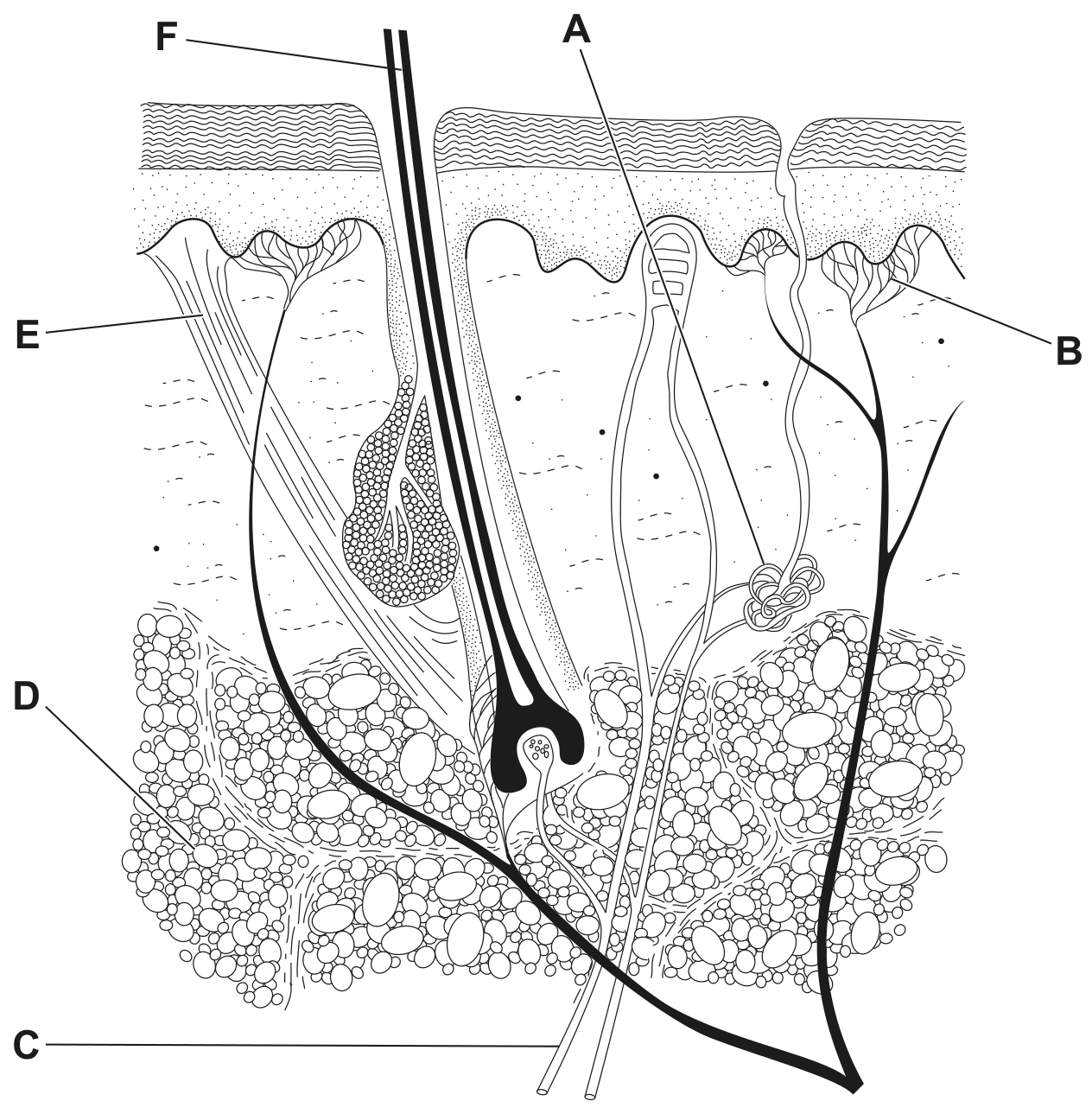 Fig. 2.2