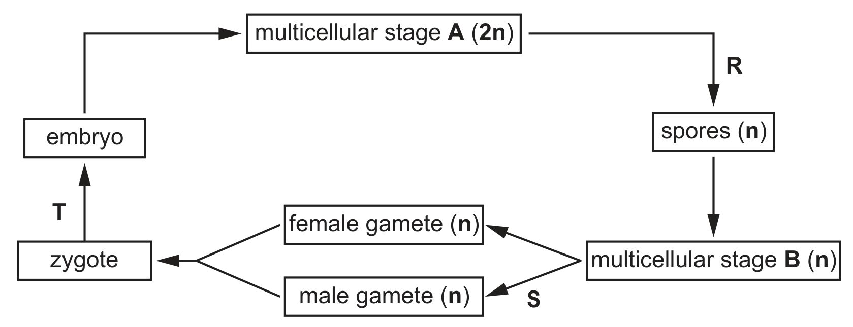 Fig. 3.1