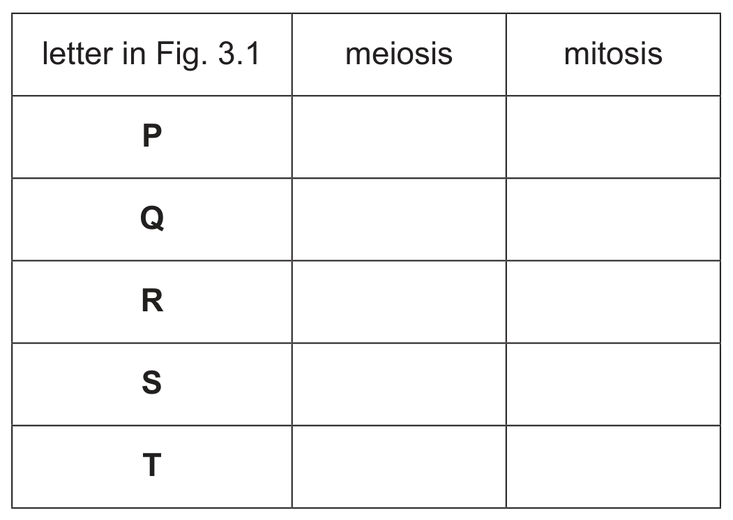 Table 3.1