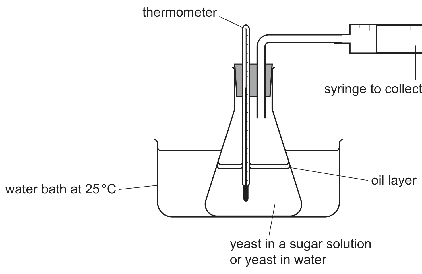 Fig. 1.1