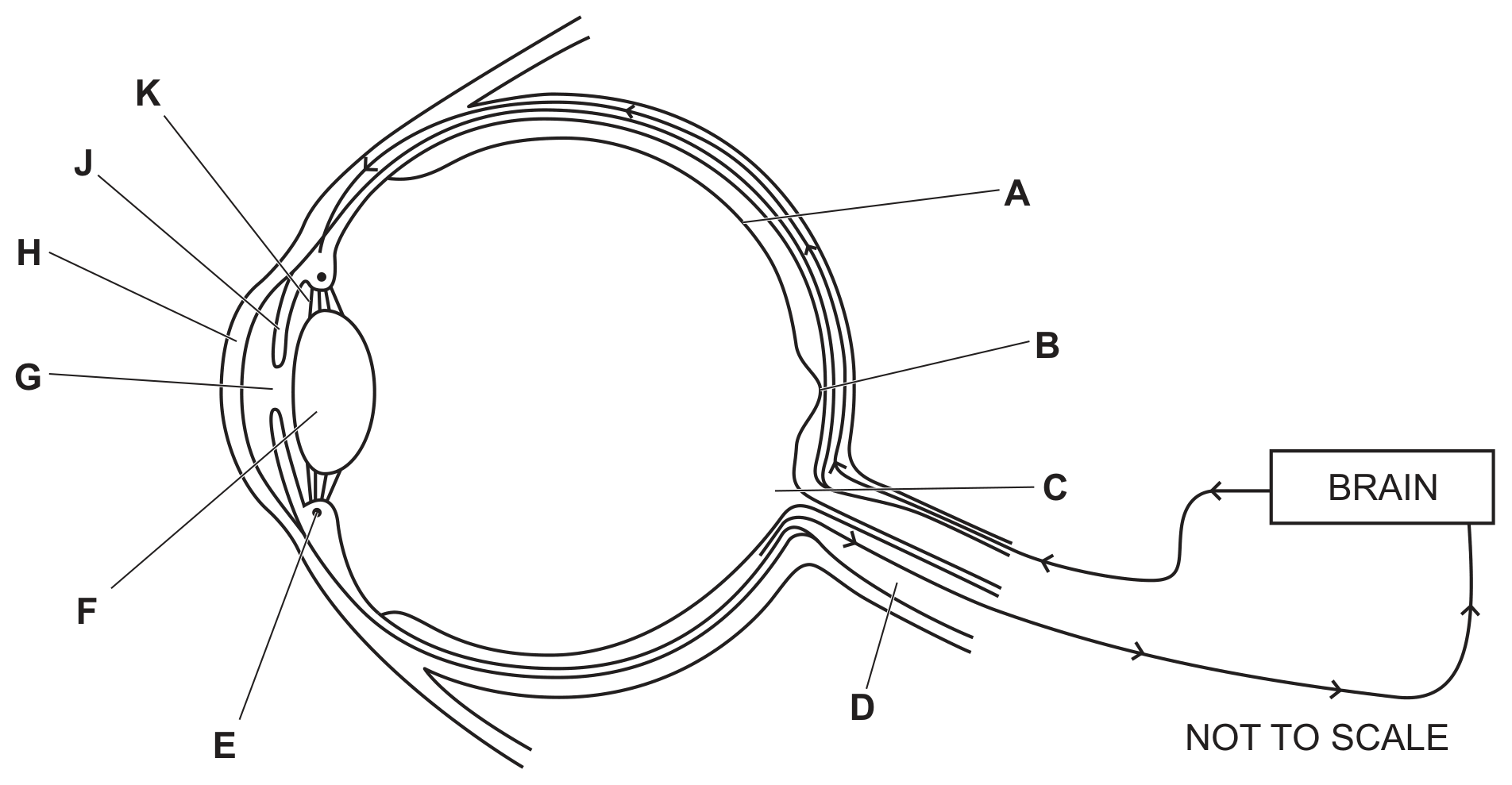 Fig. 2.1