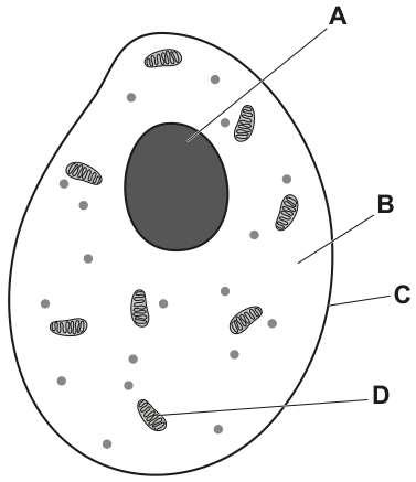 Fig. 1.1