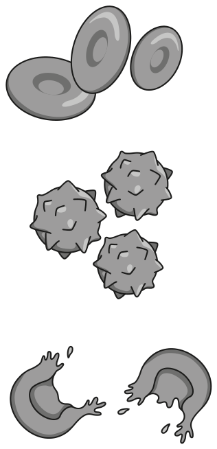 Fig. 1.2