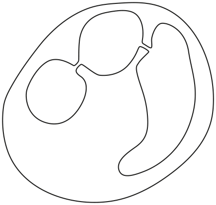 Fig. 1.3