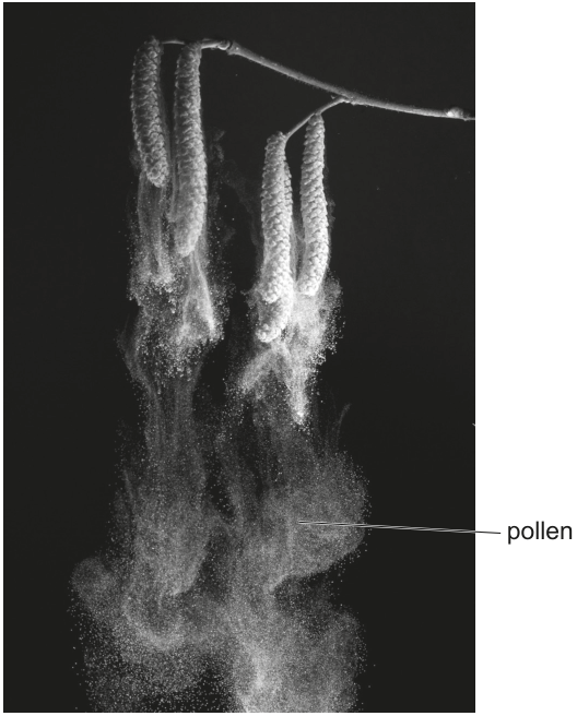 Fig. 2.2