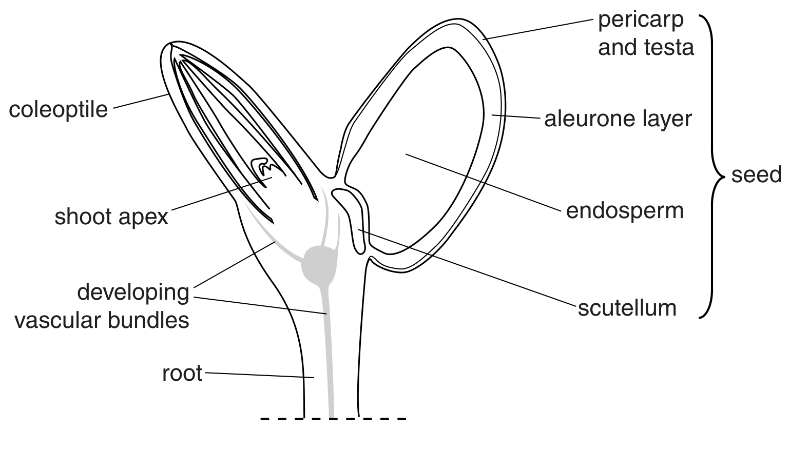 Fig. 4.1