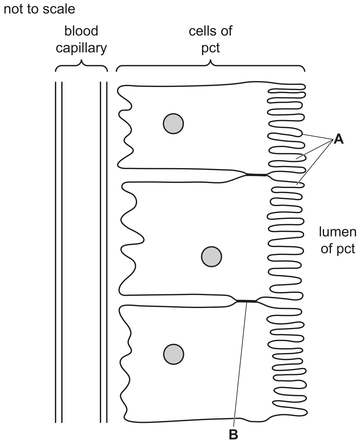 Fig. 1.1