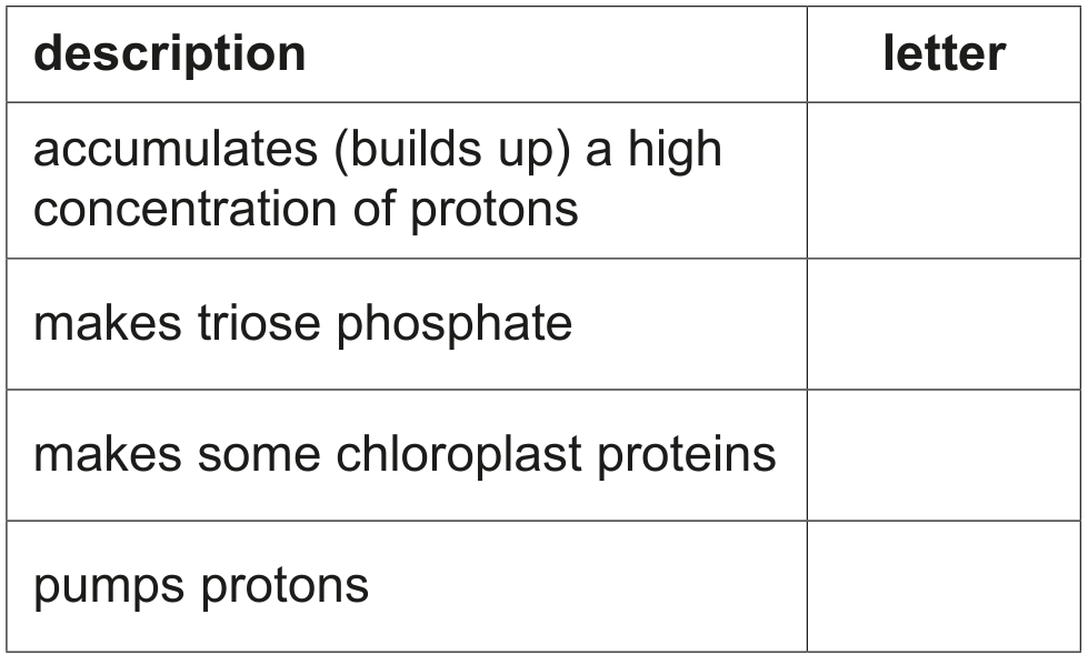 Table 1.1