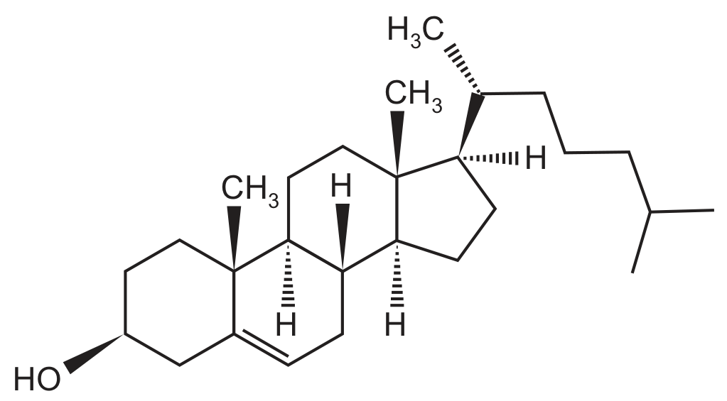 cholesterol