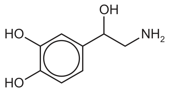 noradrenaline