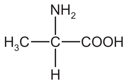 alanine
