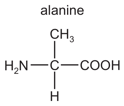 Fig. 5.1