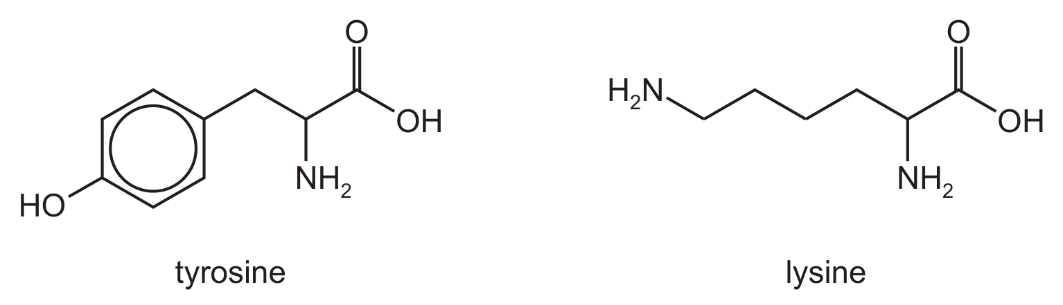 Fig. 9.1