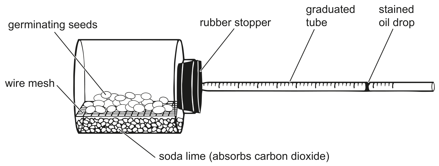 diagram not to scale