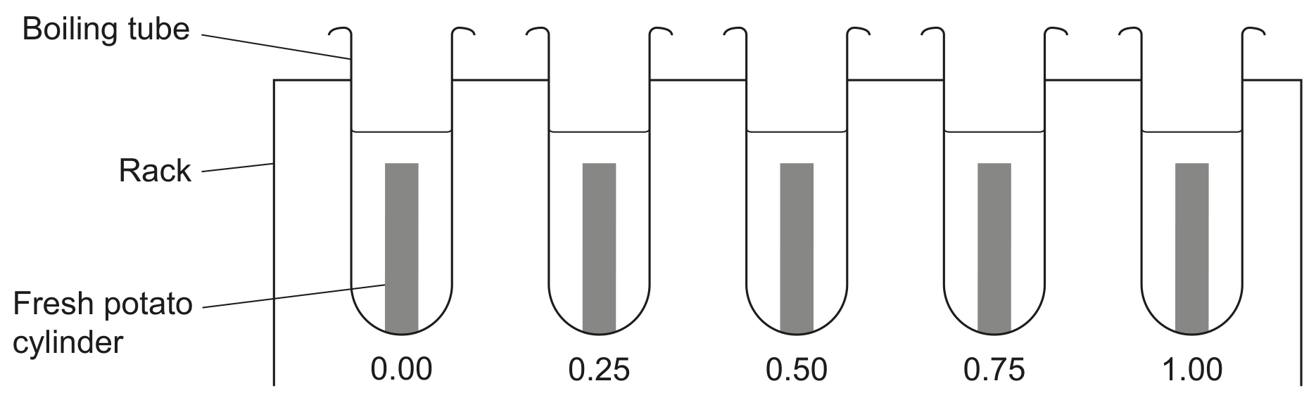 Sucrose solution concentration / M