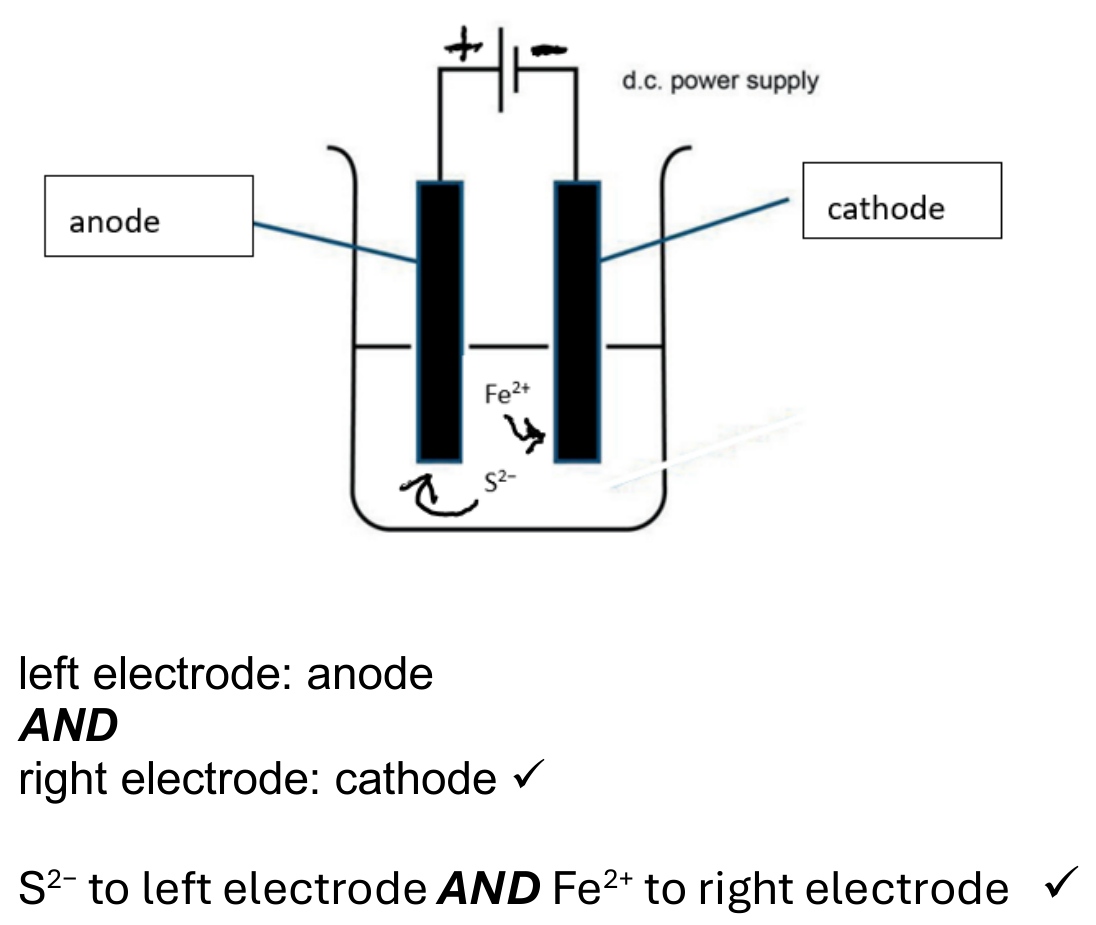 Figure for Answer to Question 3.2.5—Electrodes in electrochemical cells question 1 — IB Chemistry SL