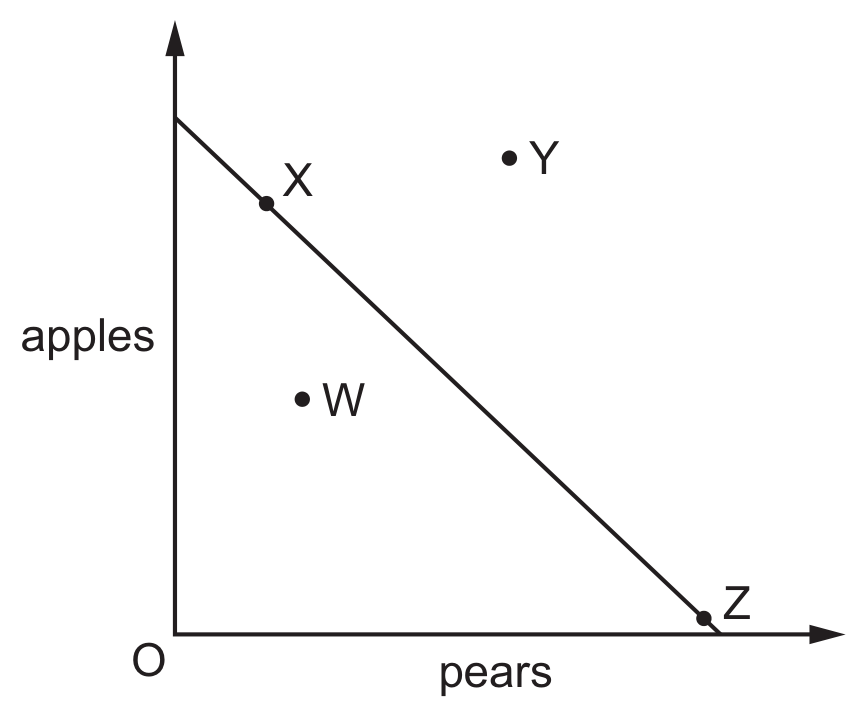Figure for Question 3 — CAIE A-Level Economics