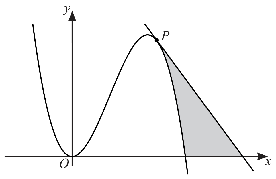 Figure for Question 11(a) — CAIE A-Level Mathematics