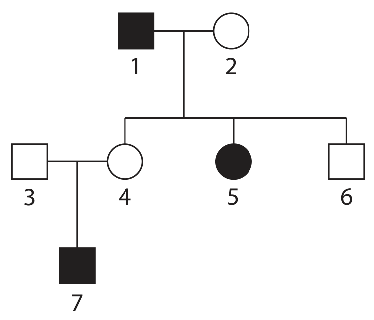 Figure for Question 9(b)(ii) — Edexcel IGCSE Biology