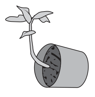 Pot B